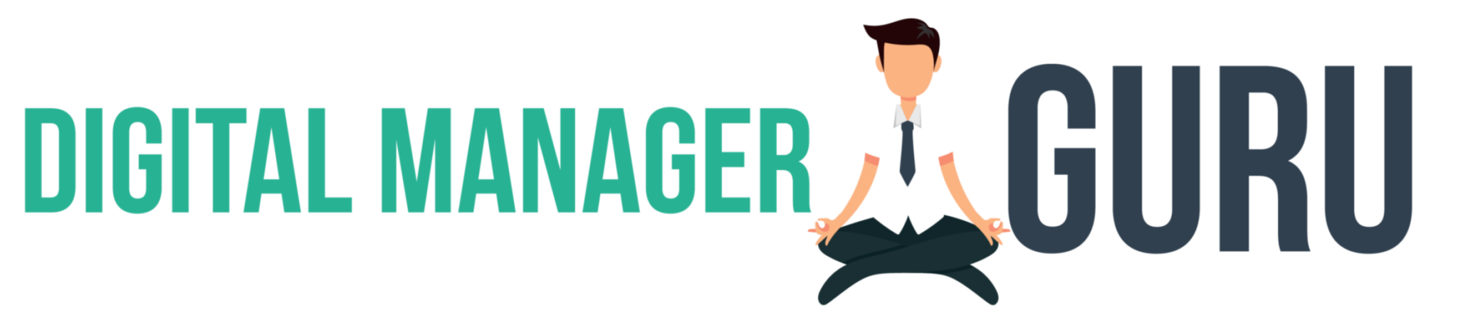 log Digital Manager Guru